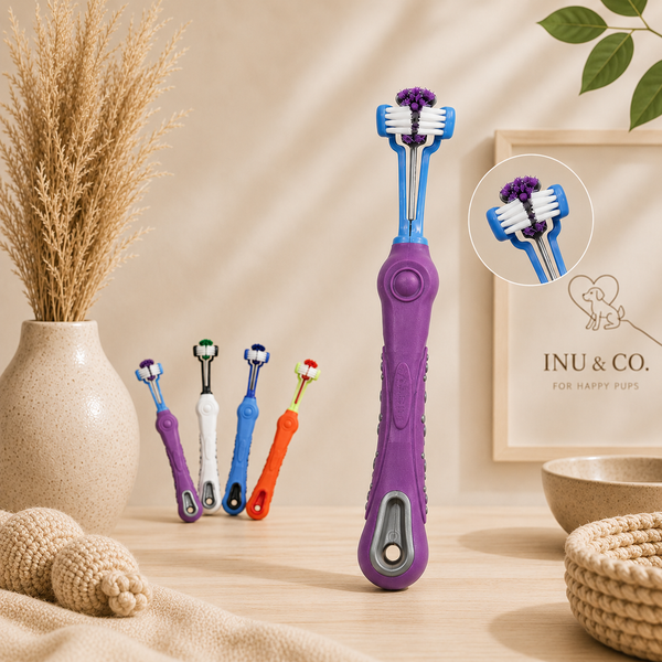 Three-sided dog toothbrush in use - Inu & Co