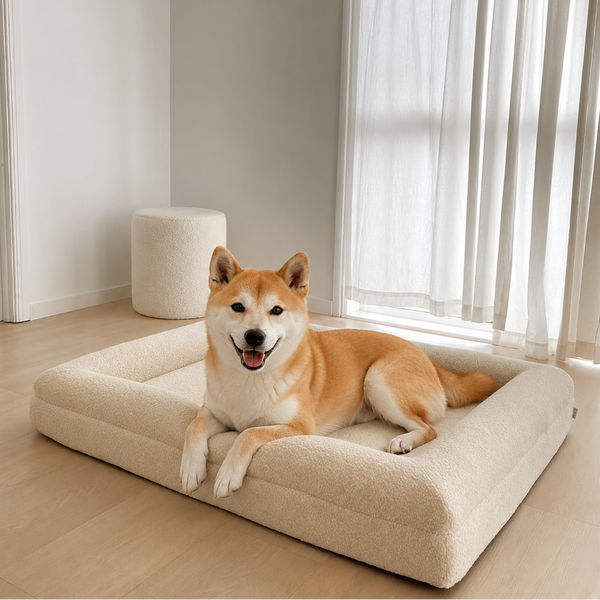 Ivory memory foam dog bed with bolstered edges - Inu & Co