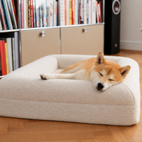 Orthopaedic Memory Foam Dog Bed
