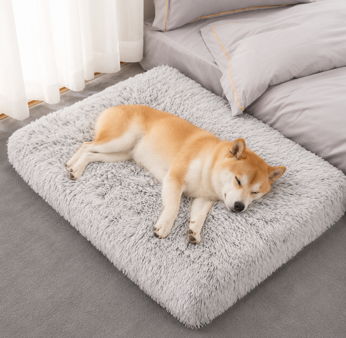 Plush Square Memory Foam Pet Bed