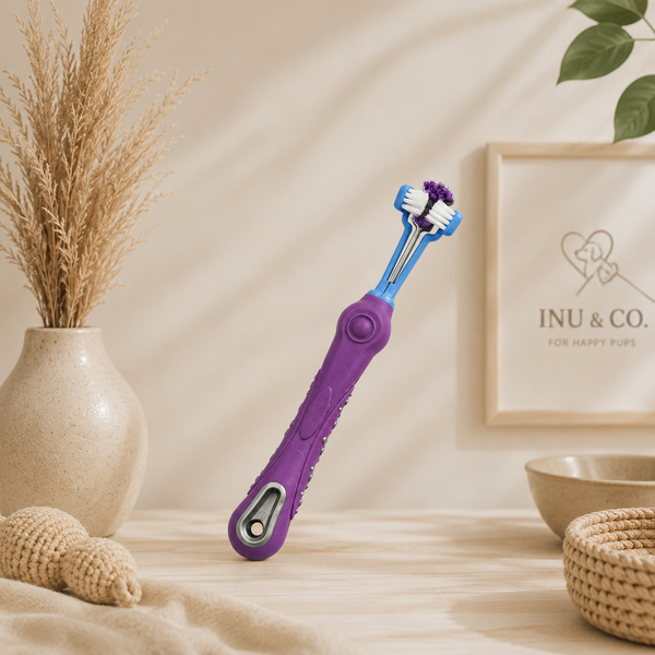 Three-sided toothbrush cleaning all sides at once - Inu & Co